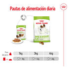 Royal Canin X-Small Adult sobres en salsa para perros, , large image number null